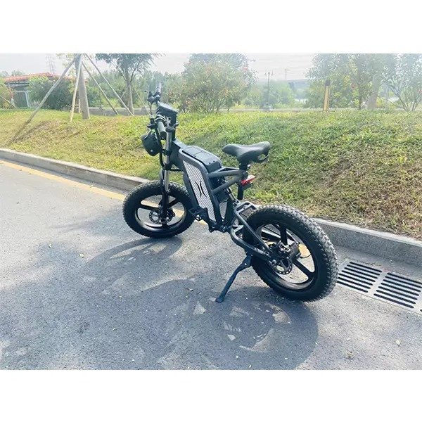 Lithium-Batterie-Geländewagen 20-Zoll-Mountainbike