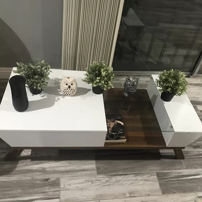 【Furniture】Soto 4 Legs Coffee Table with Storage