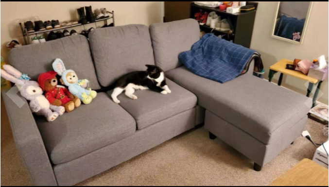 Nolany L-Shaped Corner Sofa 3 Seater Sectional Couch with Reversible Chaise Sofa for Living Room（Grey）